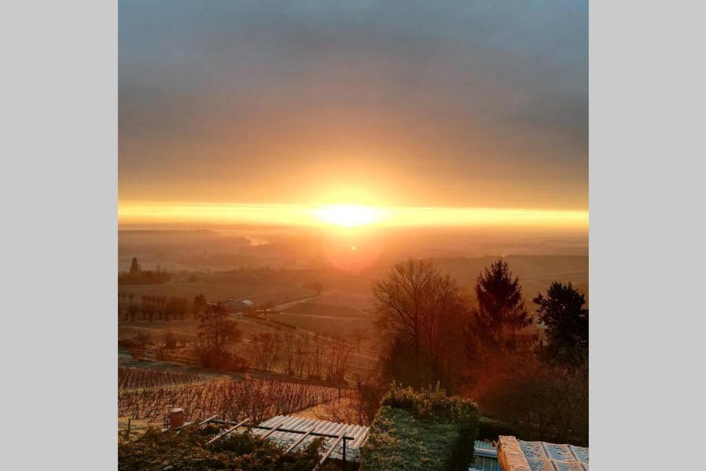 Апартаменты Vue Panoramique Sur Le Vignoble Сансер Экстерьер фото